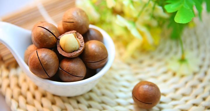 3 Redenen waarom je vaker biologische macadamia noten zou moeten eten